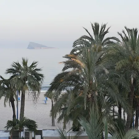 El Palmeral