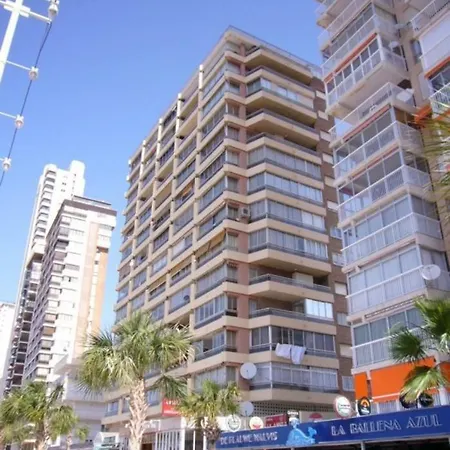 Carolina - Arena *