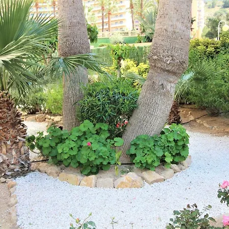 Appartamento Atico Levante Torre Montecarlo Benidorm