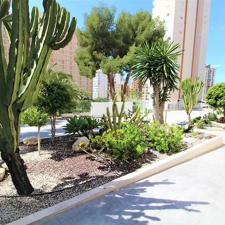 Atico Levante Torre Montecarlo Appartamento *