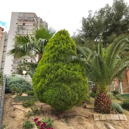 Apartment Levante Beach Calle Londres
