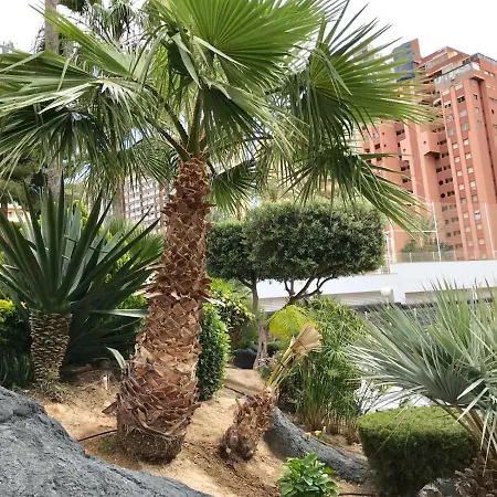 Apartment Levante Beach Calle Londres Benidorm