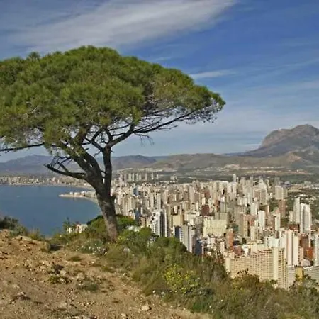 Apartment In Benidorm, Alicante 103111 By Mo Benidorm