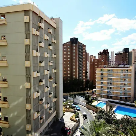 Girasol 54 *