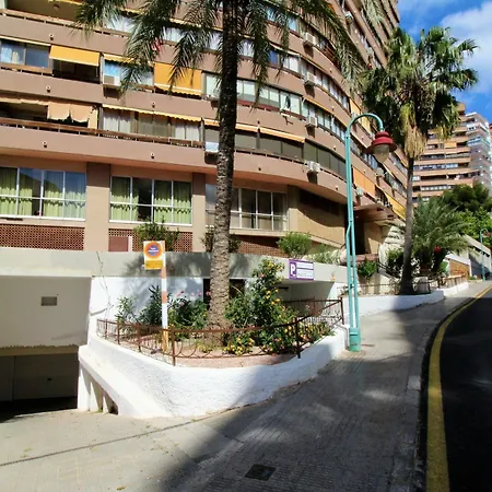 Girasol 54 *