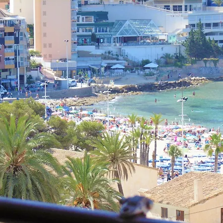 Coblanca 7-41 Benidorm