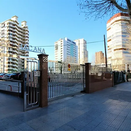 Bacana 33 Benidorm