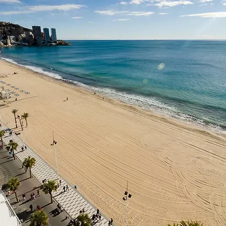 Las Palmeras 12d Benidorm