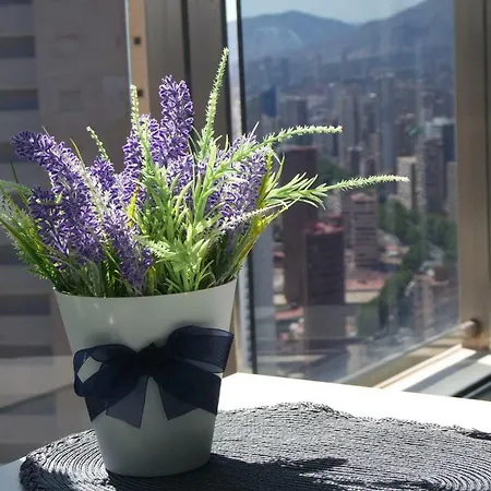 Apartment Mirador Luxury Apart