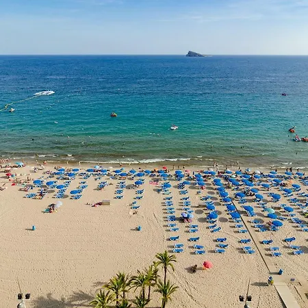 Las Palmeras 12d * Benidorm
