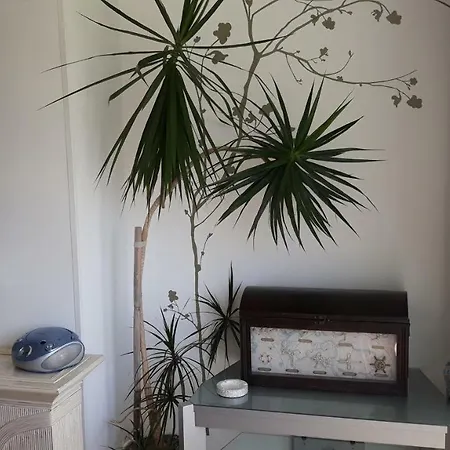 Apartment Torre San Sebastian *