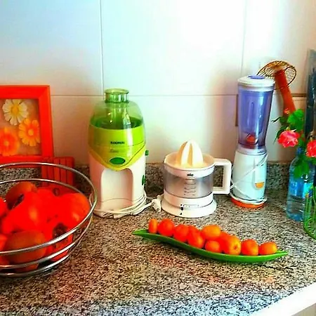 Deluxe Garden Flat Near Terra-Mitica Apartment