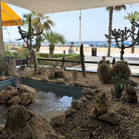 Primera Linea Playa Levante Benidorm