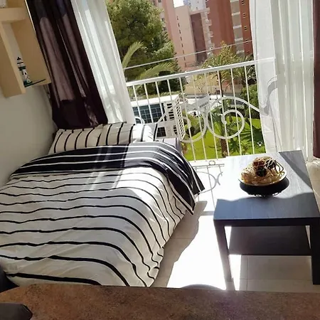 Apartment Playmon Park *