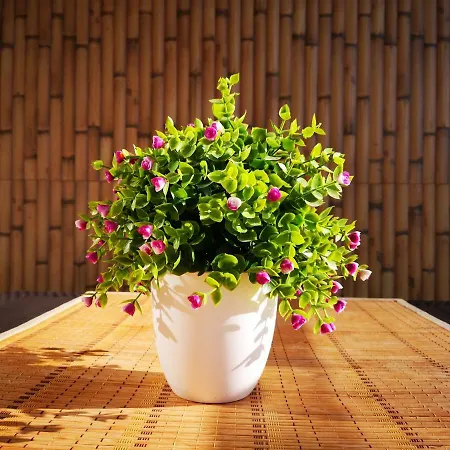 Apartman Muchosol