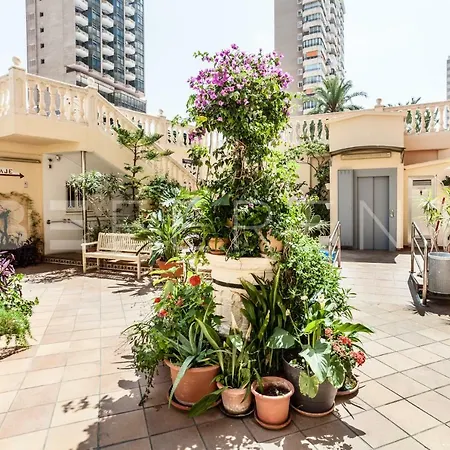 Beferent Torreprincipado Benidorm