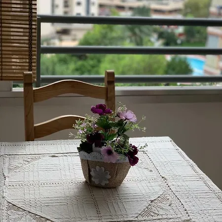 Apartment Violetas