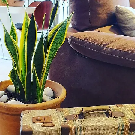 Apartment La Pineta Benidorm
