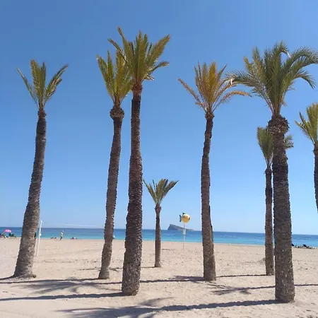 Orly Centro * Benidorm