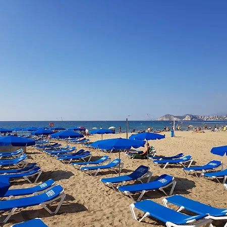 Beferent Torreprincipado Benidorm
