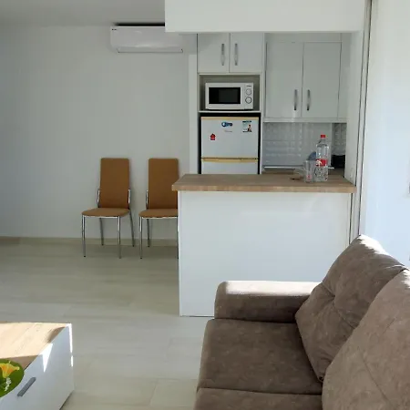 Pintor Solana Appartement Benidorm