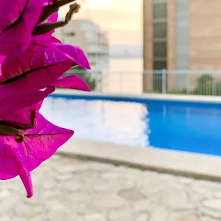 Balcon Al Mediterraneo Y Skyline De Benidorm