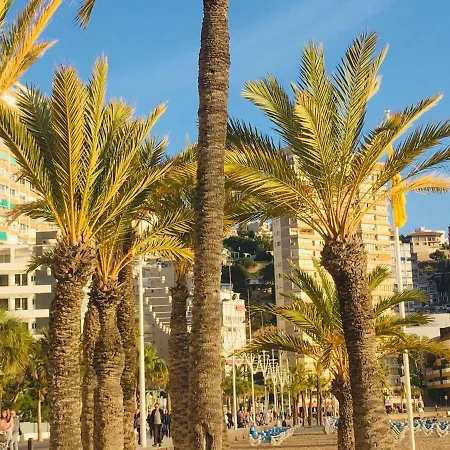 Apartamento Corazon De Monte Carlo