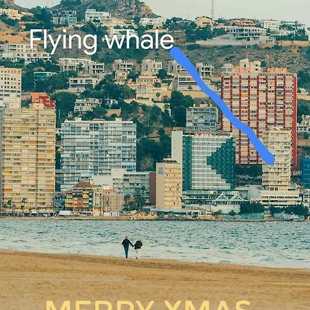 Apartamento Portofino Flying Whale *