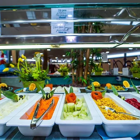 酒店 瑟维集团里亚托酒店 貝尼多姆