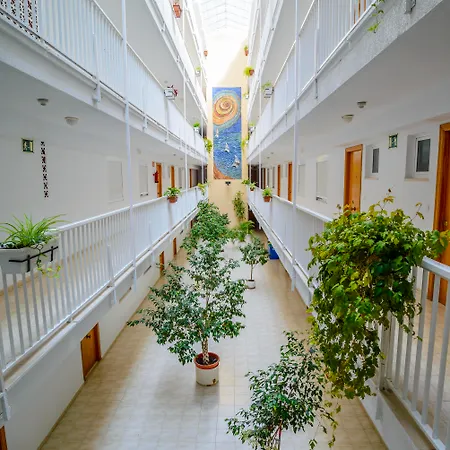 Avenida בנידורם