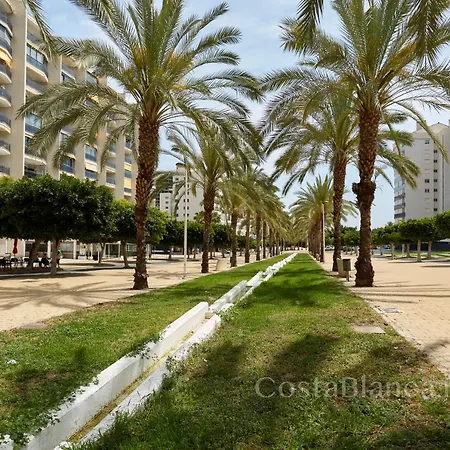 Apartment Luxury, Newly Renovated 1-bedroom By The Beach