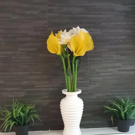 Дом отдыха Casa Paradiso *
