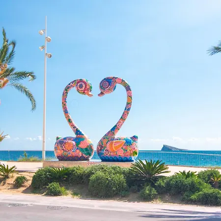 Olivar Playa * Benidorm