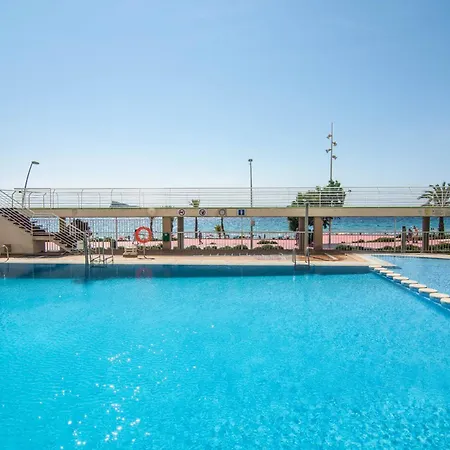 Olivar Playa