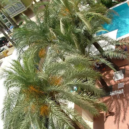 Hotel El Palmeral