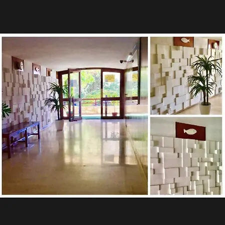 California En Benidorm, 1 Min Playa Levante, Wi-fi, Ac Y Parking * Benidorm