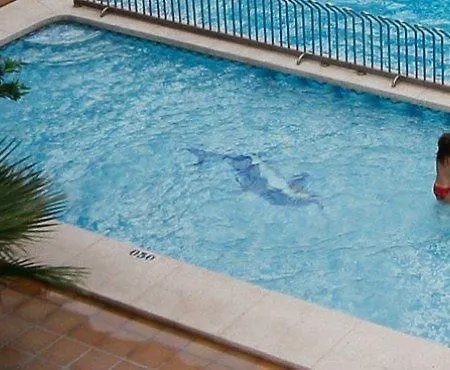Perla Hotel Benidorm