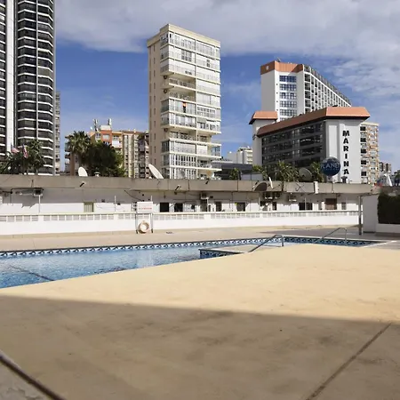 Caballos 2d - Estudio - Arena Benidorm