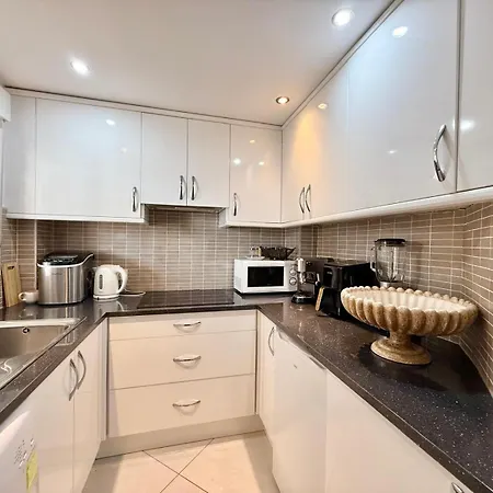 Apartment Torre Colon