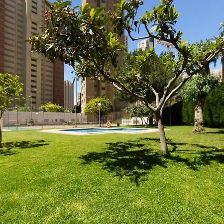 Gemelos Iv Benidorm