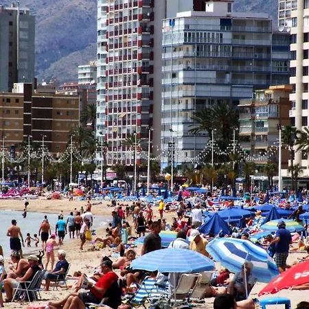 Iris Benidorm