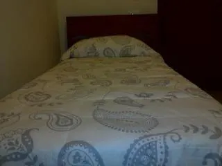 Hotel Michelangelo 2*
