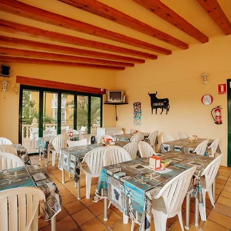 Apartment Palm Court Benidorm