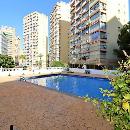 Don Miguel 2-a Levante