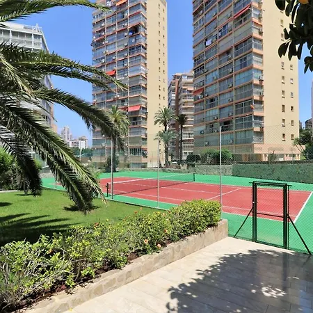 Don Miguel 2-a Levante