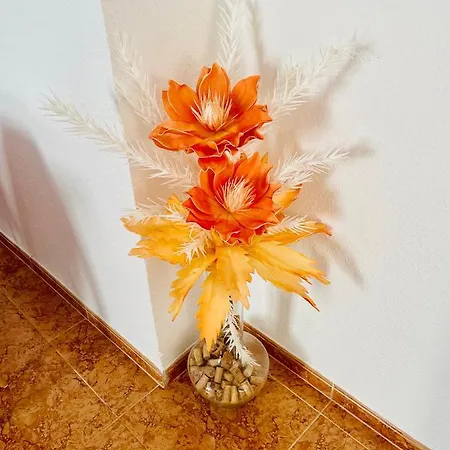Alameda I Appartement *