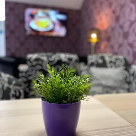 Boutique Centro Bbb Auto Check In 2* Бенидорм