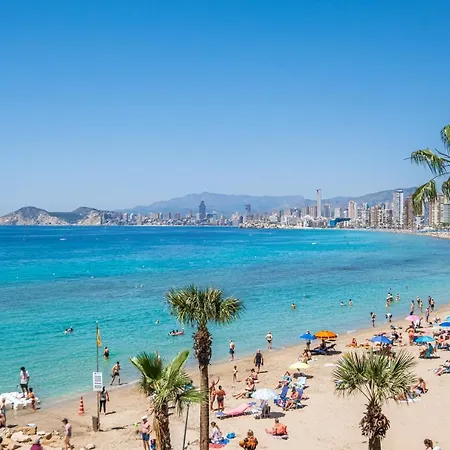 Don Miguel 2-a Levante Benidorm