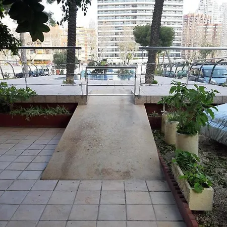 Damas 10 Benidorm