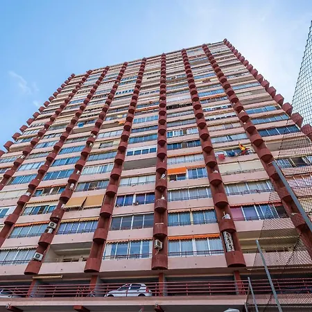 Don Miguel 15-f Levante * Benidorm